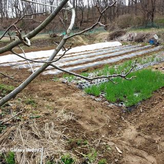 대파6310님의 자유주제 · 사진전 작성글 사진