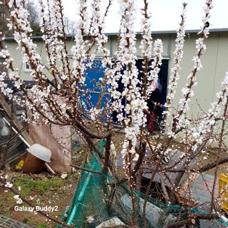 대파6310님의 자유주제 · 사진전 작성글 사진