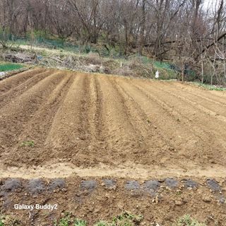 대파6310님의 자유주제 · 사진전 작성글 사진