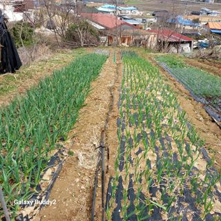 대파6310님의 자유주제 · 사진전 작성글 사진