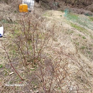 대파6310님의 자유주제 · 사진전 작성글 사진