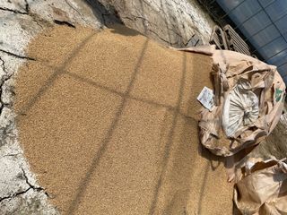 정한용님의 자유주제 · 자유게시판 작성글 사진