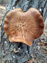 팜모닝 자유주제·사진전 게시글 이미지