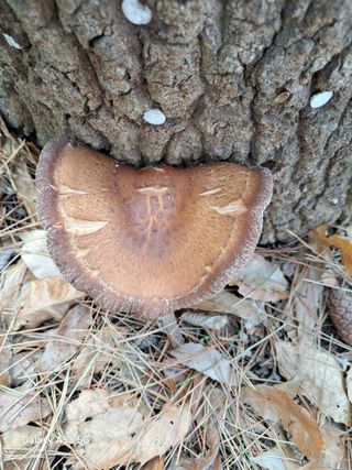 김만호님의 자유주제 · 사진전 작성글 사진