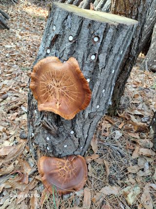 김만호님의 자유주제 · 사진전 작성글 사진