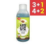 팜모닝 · 게시글 이미지