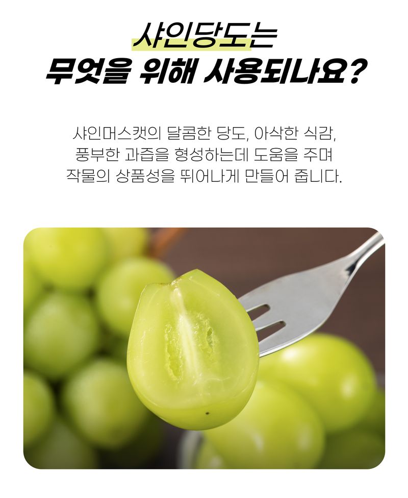 농사엔 공식님의 장터 판매 상품 [[농사엔] 샤인당도 500ml] 첨부 사진
