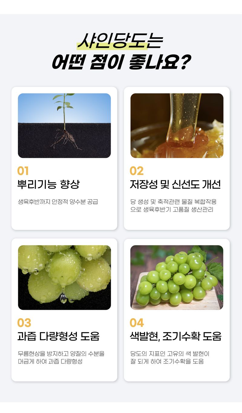 농사엔 공식님의 장터 판매 상품 [[농사엔] 샤인당도 500ml] 첨부 사진