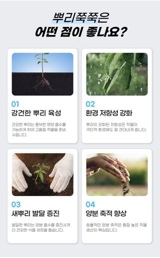 농사엔 공식님의 작성글 사진