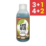 팜모닝 · 게시글 이미지