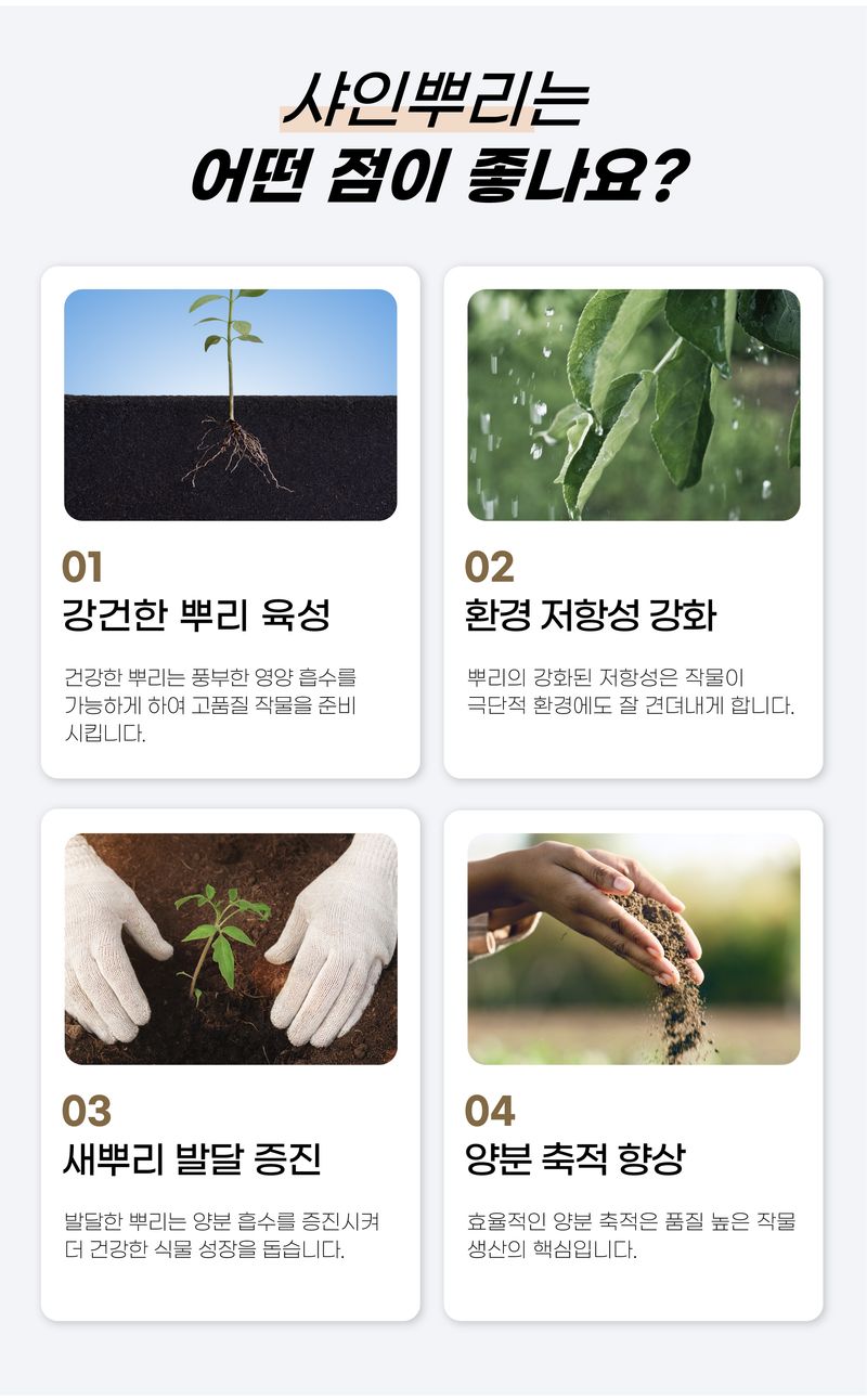 농사엔 공식님의 장터 판매 상품 [[농사엔] 샤인뿌리 500ml] 첨부 사진