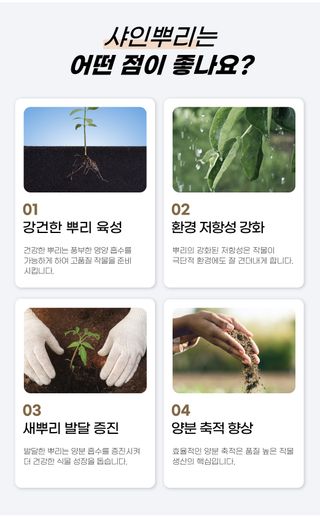 농사엔 공식님의 작성글 사진