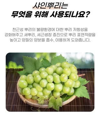 농사엔 공식님의 작성글 사진