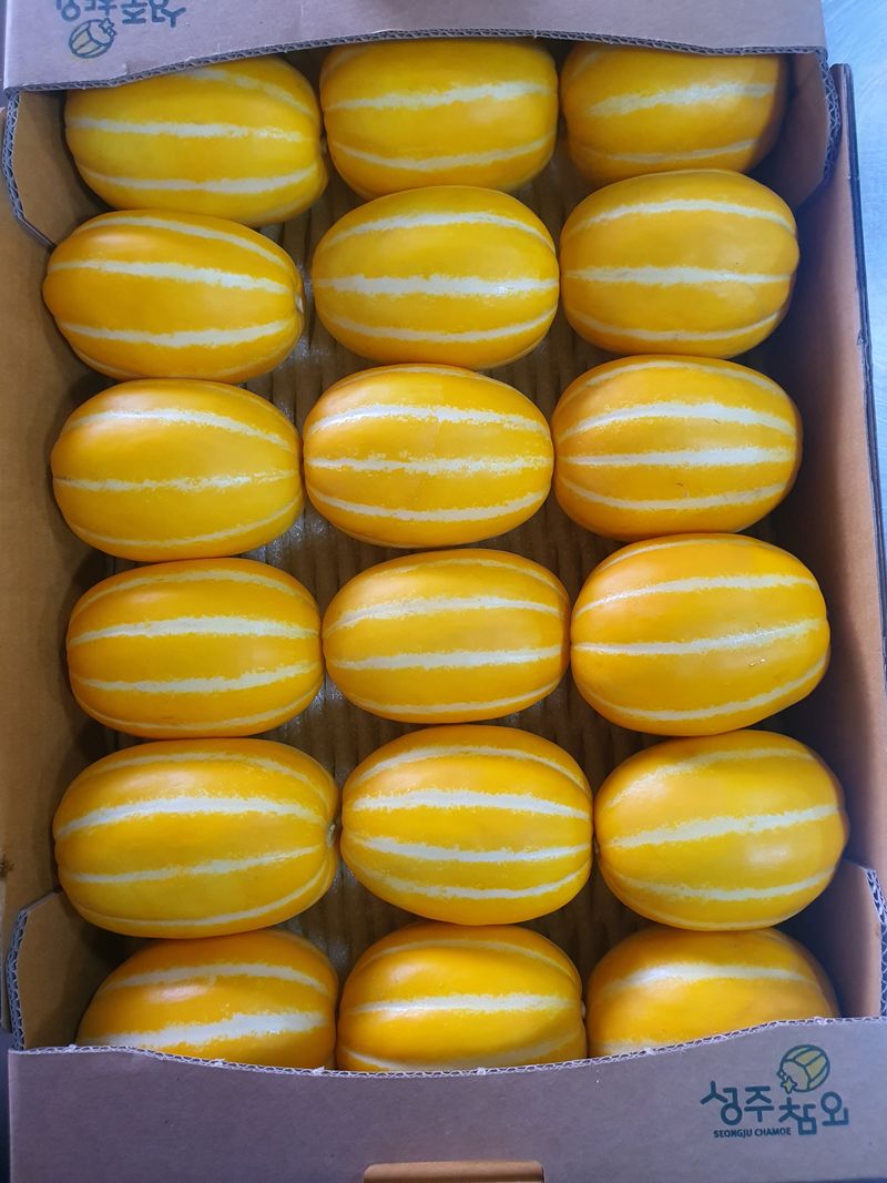 경북.성주.이은혜.님의 장터 판매 상품 [이쁜이로열과3키로] 첨부 사진