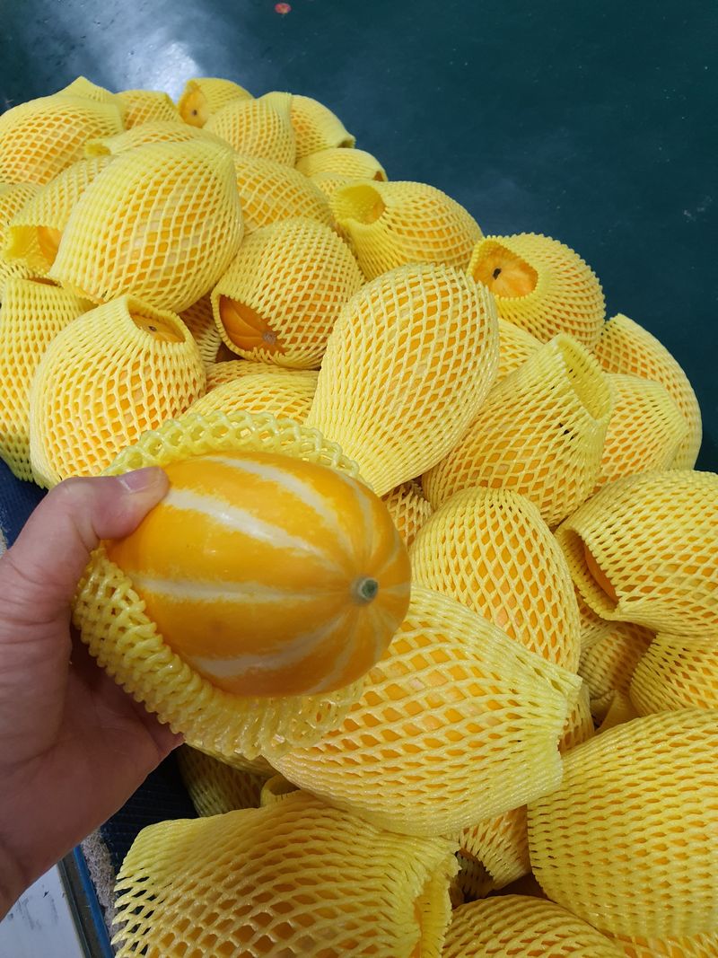 경북.성주.이은혜.님의 장터 판매 상품 [이쁜이로열과3키로] 첨부 사진