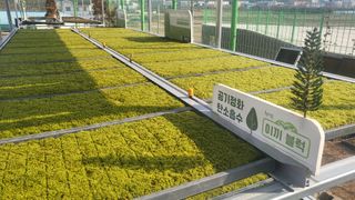 Tree100님의 자유주제 · 사진전 작성글 사진