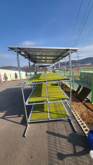 Tree100님의 자유주제 · 사진전 작성글 사진