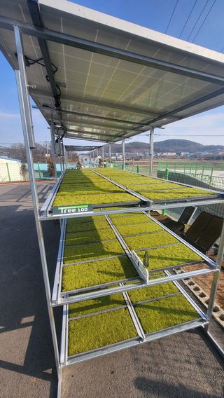 Tree100님의 자유주제 · 사진전 작성글 사진