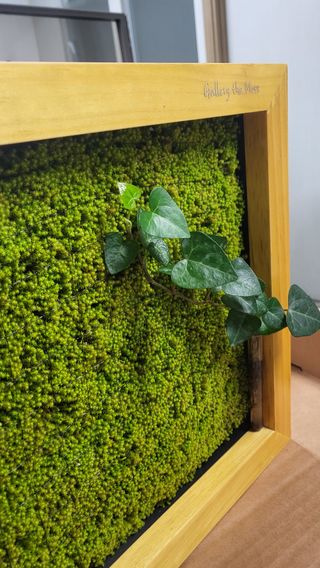 Tree100님의 자유주제 · 사진전 작성글 사진