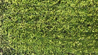 Tree100님의 자유주제 · 사진전 작성글 사진