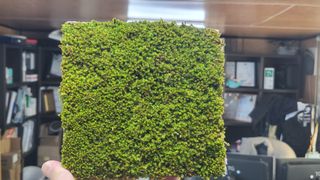 Tree100님의 자유주제 · 사진전 작성글 사진