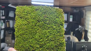 Tree100님의 자유주제 · 사진전 작성글 사진