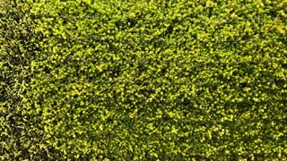 Tree100님의 자유주제 · 사진전 작성글 사진