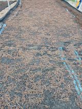 팜모닝 기타작물·영농일지 게시글 이미지