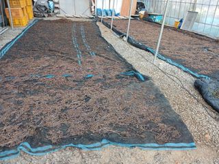 봉두산약초농원님의 기타작물 · 영농일지 작성글 사진