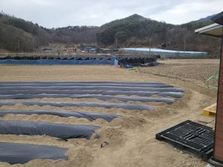 희상님의 4월 농사계획 공유해요 · 참여글 작성글 사진