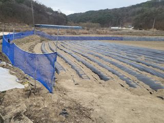 희상님의 4월 농사계획 공유해요 · 참여글 작성글 사진