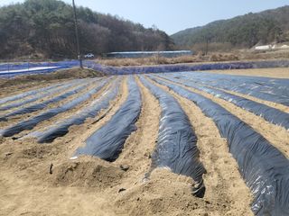 희상님의 4월 농사계획 공유해요 · 참여글 작성글 사진