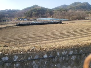 희상님의 4월 농사계획 공유해요 · 참여글 작성글 사진