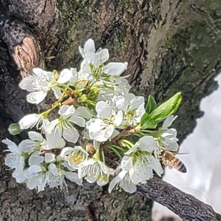 토리님의 자유주제 · 사진전 작성글 사진