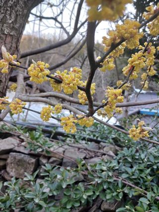 고성운님의 자유주제 · 자유게시판 작성글 사진