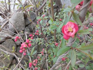 고성운님의 자유주제 · 자유게시판 작성글 사진