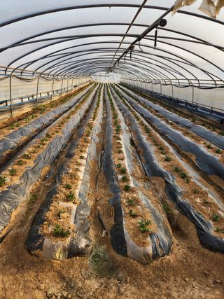 안병두님의 자유주제 · 칭찬해요 작성글 사진