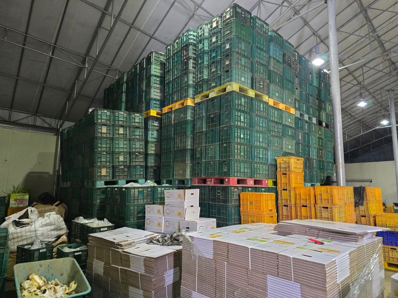 전성일님의 장터 판매 상품 [20kg] 첨부 사진