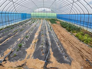 박종언님의 4월 농사계획 공유해요 · 참여글 작성글 사진