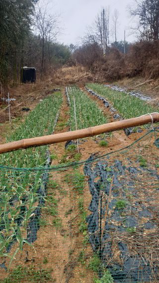 조한우님의 4월 농사계획 공유해요 · 참여글 작성글 사진
