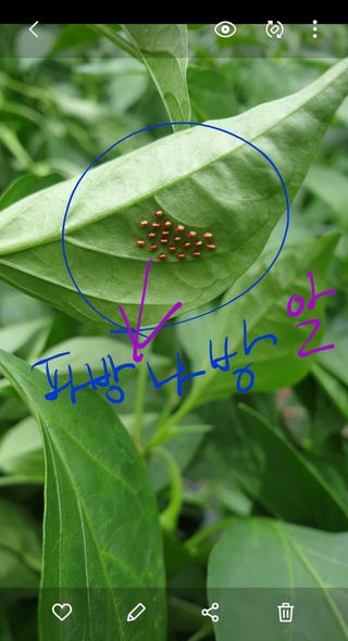 조한우님의 4월 농사계획 공유해요 · 참여글 작성글 사진