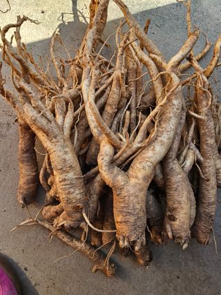 배추5999님의 작성글 사진