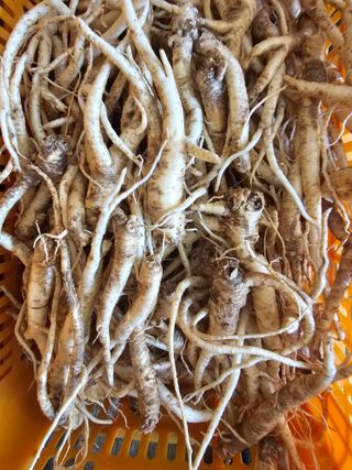 배추5999님의 작성글 사진