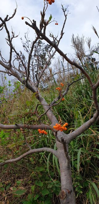 조한우님의 4월 농사계획 공유해요 · 참여글 작성글 사진