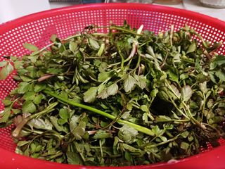 조정분(사랑이엄마)님의 자유주제 · 자유게시판 작성글 사진