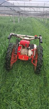 팜모닝 기타작물·자유게시판 게시글 이미지