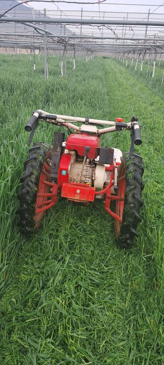 강춘원님의 기타작물 · 자유게시판 작성글 사진