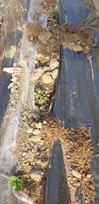 박선화님의 자유주제 · 자유게시판 작성글 사진