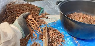 박선화님의 자유주제 · 자유게시판 작성글 사진