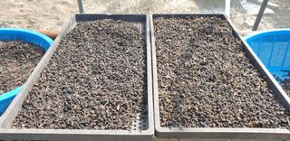 박선화님의 자유주제 · 자유게시판 작성글 사진